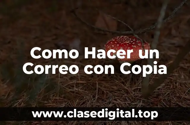 Como Hacer un Correo con Copia