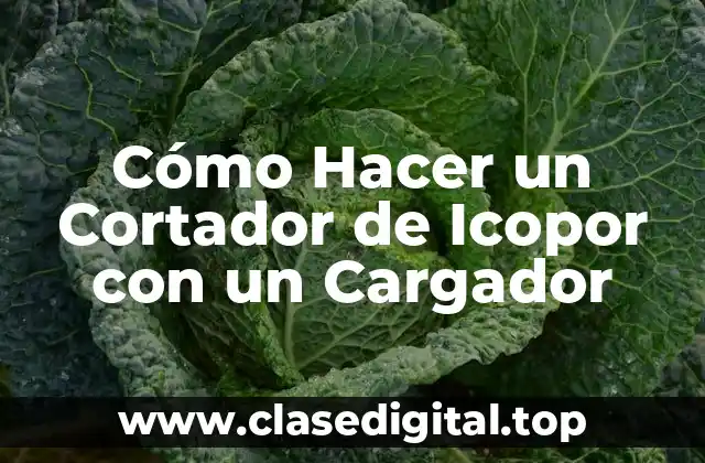 Cómo Hacer un Cortador de Icopor con un Cargador