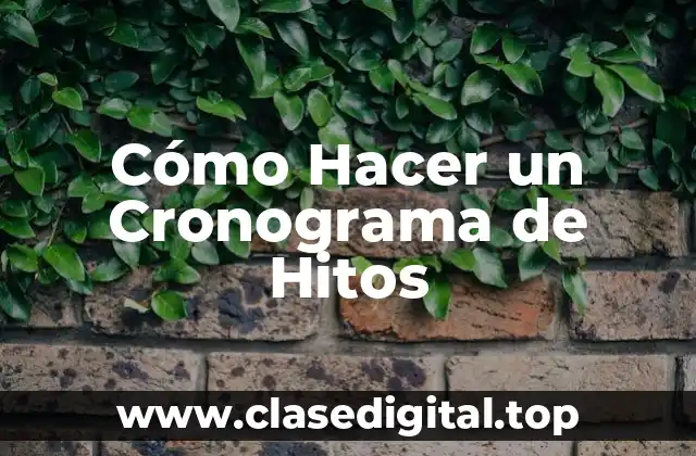 Cómo Hacer un Cronograma de Hitos