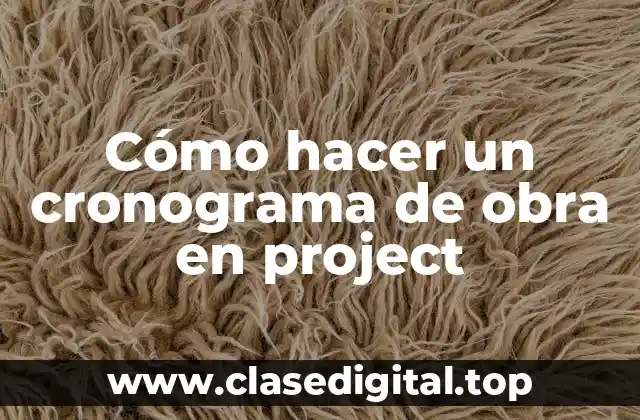 ¿Qué es un cronograma de obra en Project?