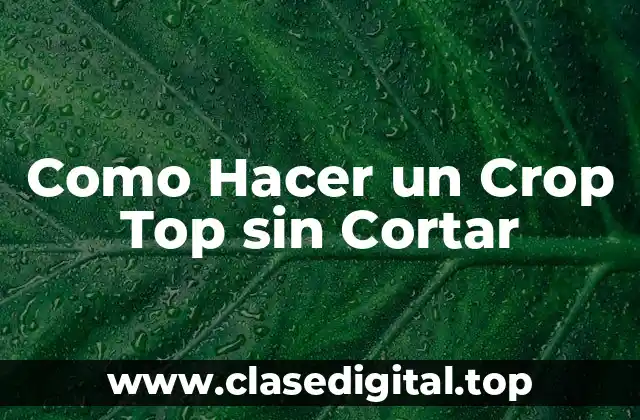 Como Hacer un Crop Top sin Cortar