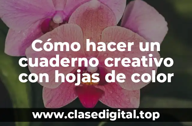 Cómo hacer un cuaderno creativo con hojas de color