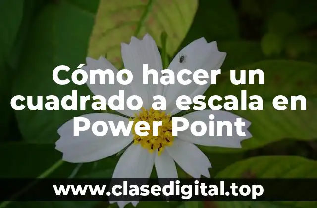Cómo hacer un cuadrado a escala en Power Point