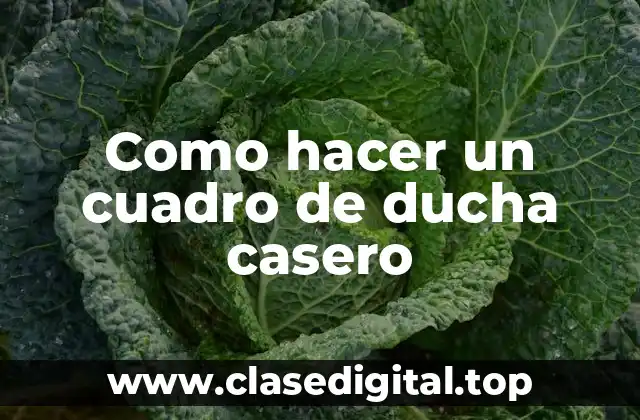 Como hacer un cuadro de ducha casero