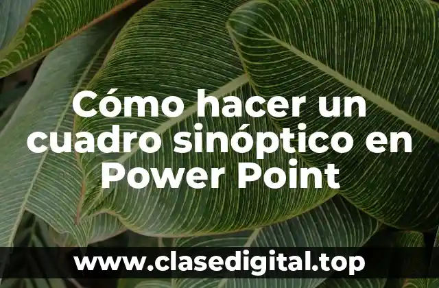 ¿Qué es un cuadro sinóptico en Power Point?