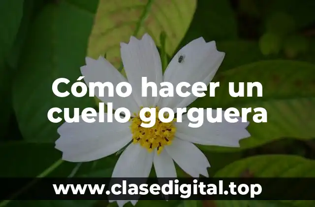 Cómo hacer un cuello gorguera