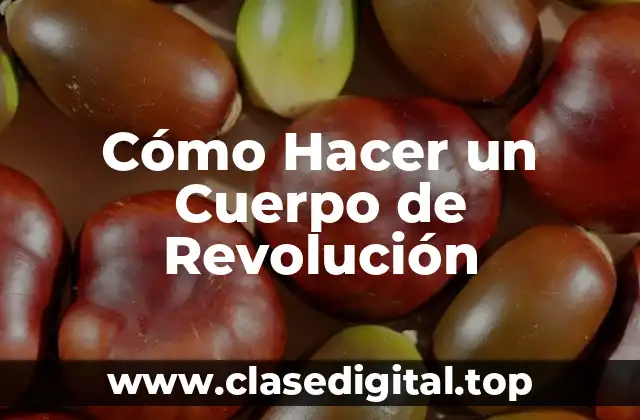 Cómo Hacer un Cuerpo de Revolución
