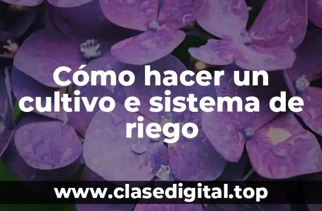 Cómo hacer un cultivo e sistema de riego