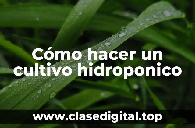 Cómo hacer un cultivo hidroponico