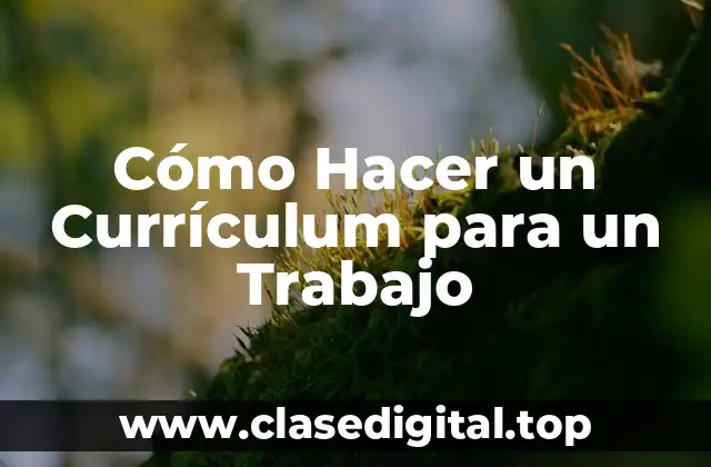 ¿Qué Debe Incluir un Currículum para un Trabajo?