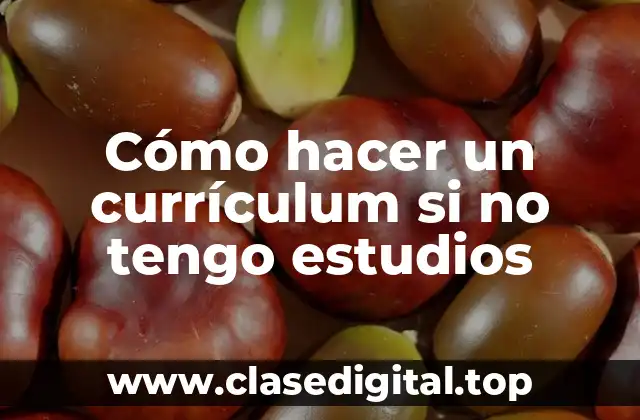 Cómo hacer un currículum si no tengo estudios