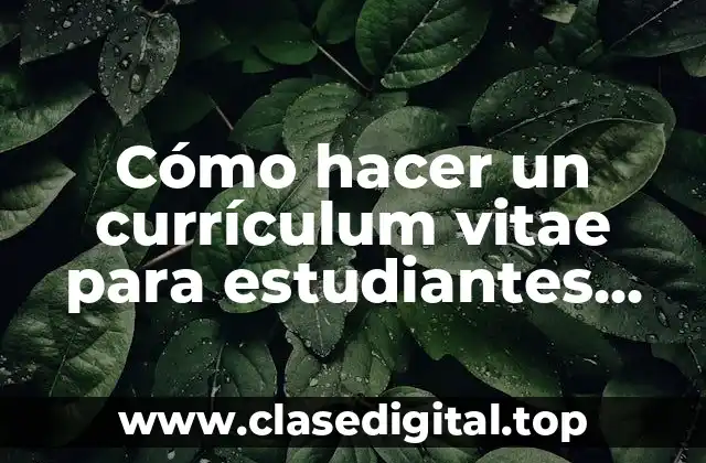 Cómo hacer un currículum vitae para estudiantes universitarios sin experiencia