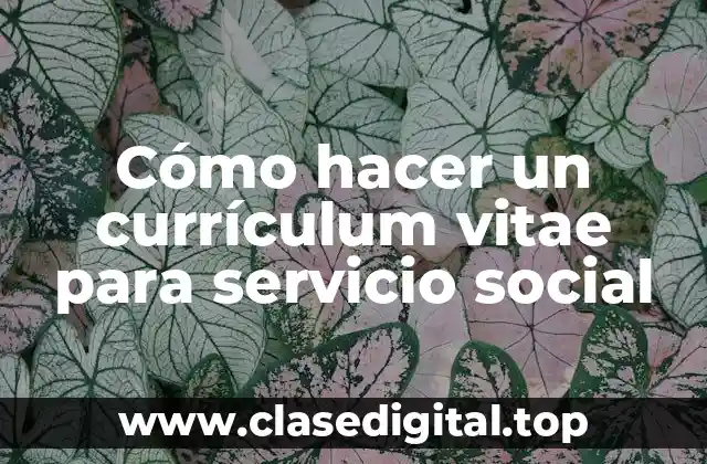 Currículum vitae para servicio social