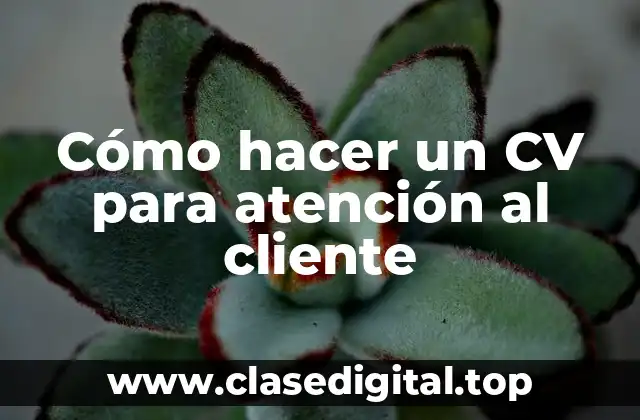 Cómo hacer un CV para atención al cliente