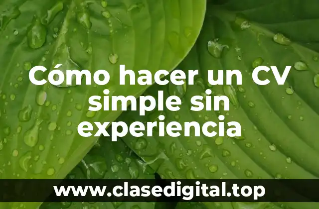 Cómo hacer un CV simple sin experiencia