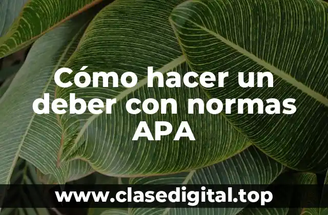 Cómo hacer un deber con normas APA