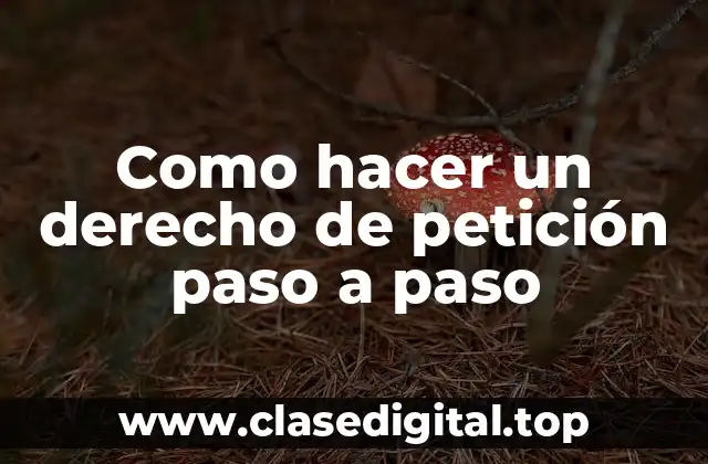 Como hacer un derecho de petición paso a paso
