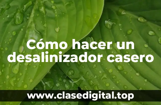 Cómo hacer un desalinizador casero