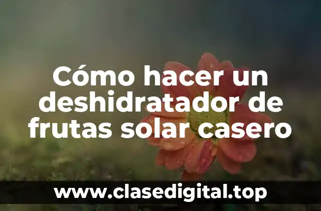 Cómo hacer un deshidratador de frutas solar casero