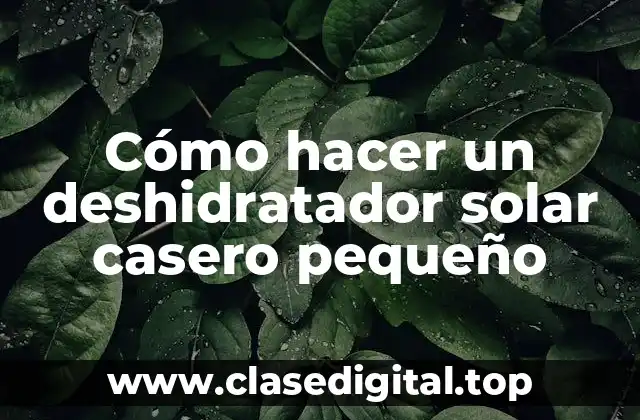 Cómo hacer un deshidratador solar casero pequeño