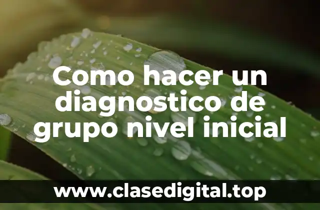 Como hacer un diagnostico de grupo nivel inicial