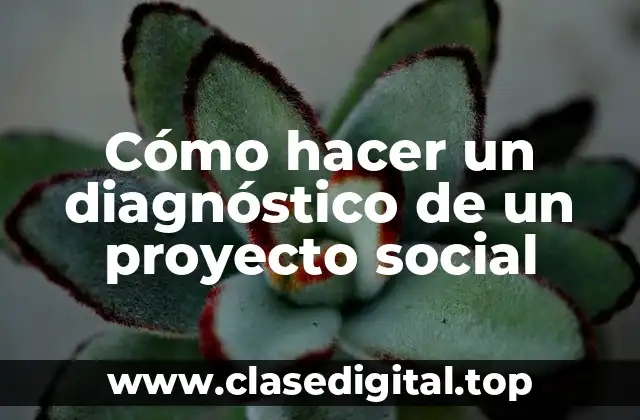 Cómo hacer un diagnóstico de un proyecto social