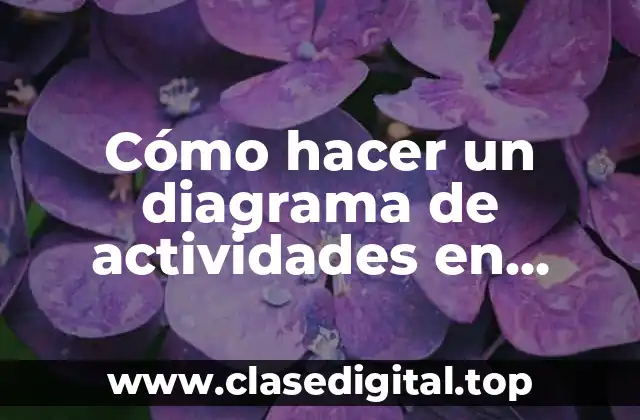 ¿Qué es un diagrama de actividades en Visual Paradigm?