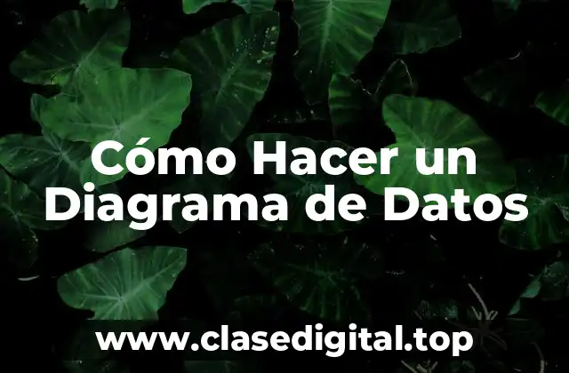 Cómo Hacer un Diagrama de Datos