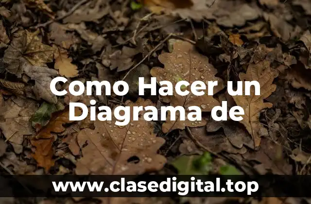 Como Hacer un Diagrama de
