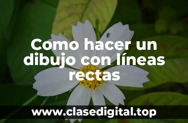 ¿Qué es un dibujo con líneas rectas y para qué se utiliza?