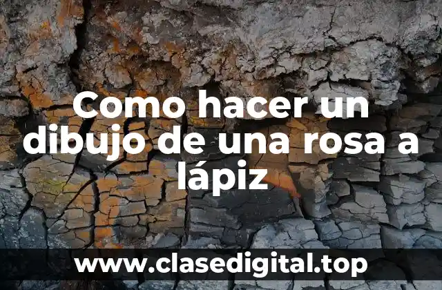 Como hacer un dibujo de una rosa a lápiz
