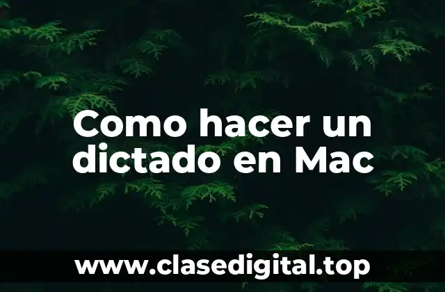 Como hacer un dictado en Mac