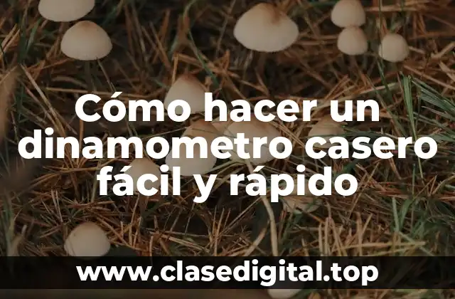 ¿Qué es un dinamometro y para qué sirve?