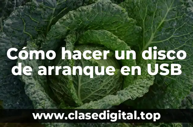 Cómo hacer un disco de arranque en USB