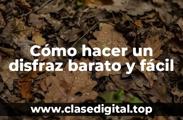 Cómo hacer un disfraz barato y fácil