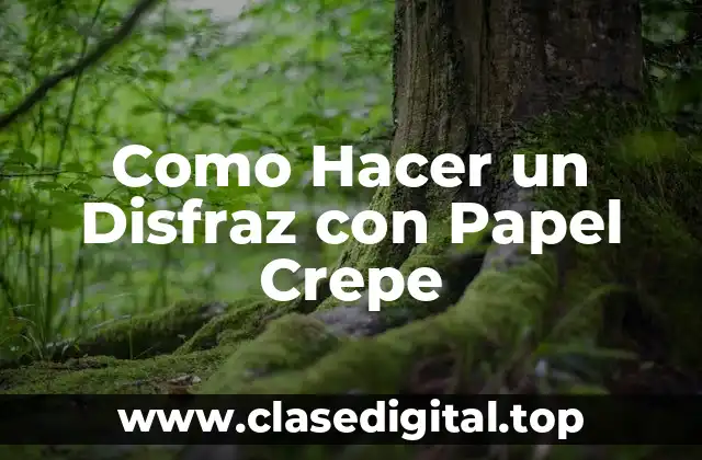 ¿Qué es un Disfraz con Papel Crepe?