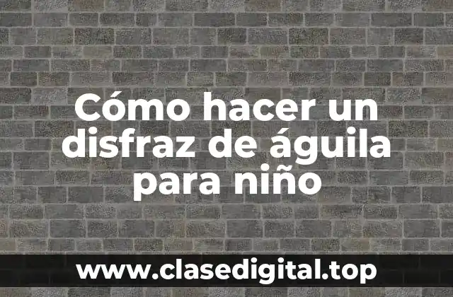 Cómo hacer un disfraz de águila para niño