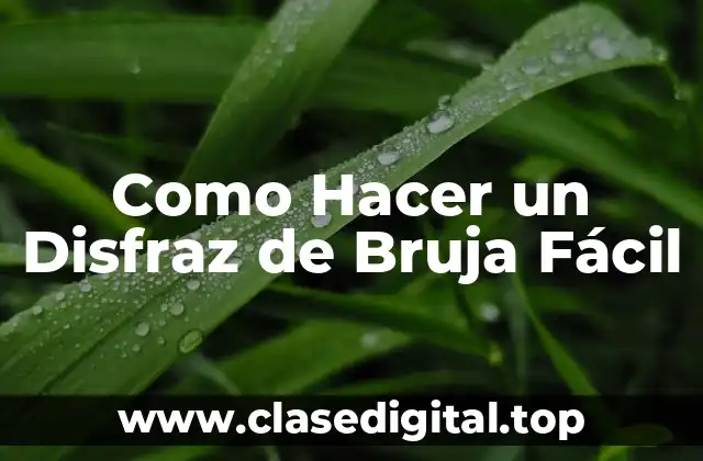 Como Hacer un Disfraz de Bruja Fácil