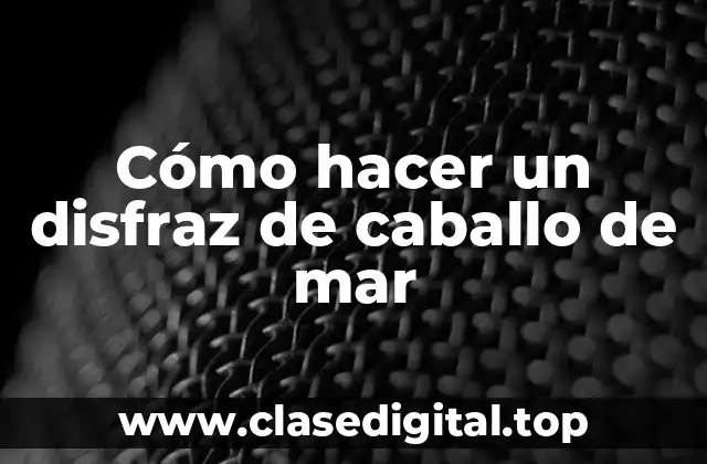 ¿Qué es un disfraz de caballo de mar?