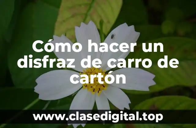 Cómo hacer un disfraz de carro de cartón