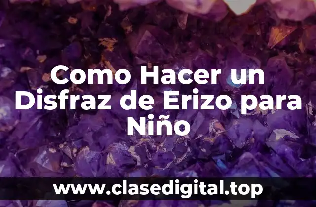 Como Hacer un Disfraz de Erizo para Niño