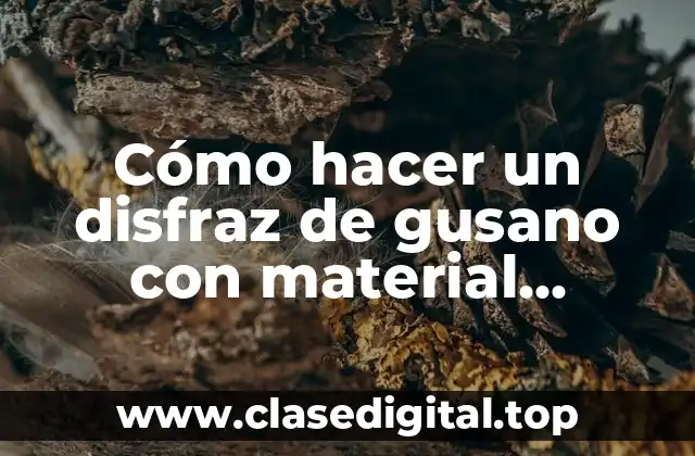 ¿Qué es un disfraz de gusano con material reciclado y para qué sirve?