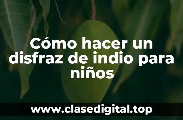 Cómo hacer un disfraz de indio para niños