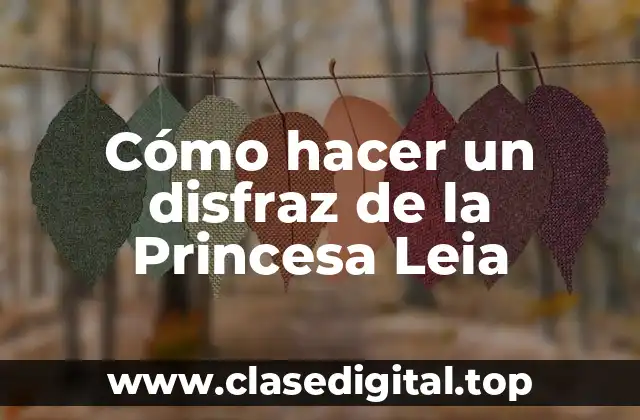 La Princesa Leia: Una Icono de la Guerrilla Espacial