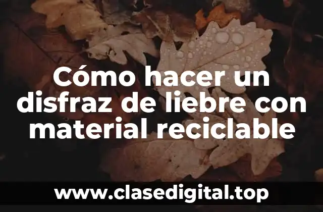 ¿Qué es un disfraz de liebre con material reciclable?