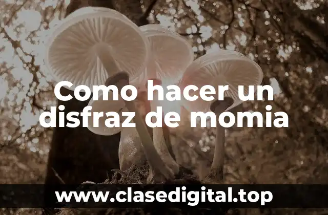 Como hacer un disfraz de momia