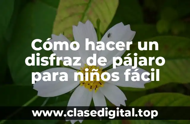 Cómo hacer un disfraz de pájaro para niños fácil