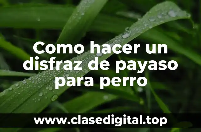 Como hacer un disfraz de payaso para perro