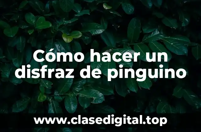 ¿Qué es un disfraz de pinguino y para qué sirve?
