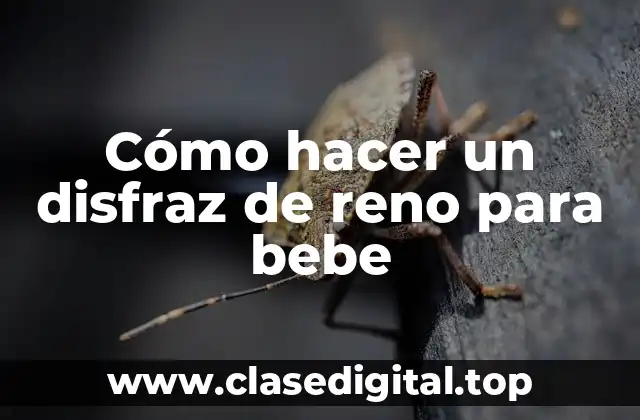 Cómo hacer un disfraz de reno para bebe